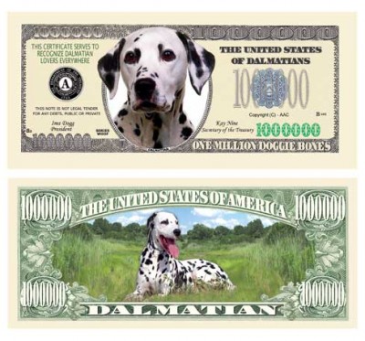 Dog_Dalmatian